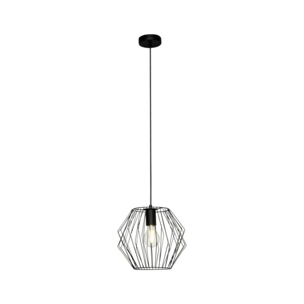 BRILLIANT Lampe Noris Pendelleuchte 28cm schwarz   1x A60