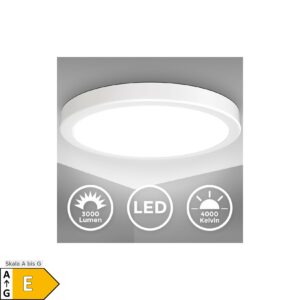 BRILLIANT Lampe Visitation LED Deckenleuchte 39cm weiß-silber 1x 24W LED  integriert, (2460lm, 3000-6000K) Stufenlos dimmbar / Steuerbar über  Fernbedienung kaufen bei